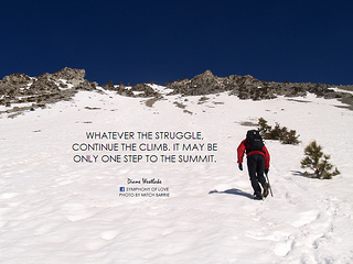 7 Harsh Truths about Achieving your Dreams